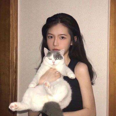 航海王强者之路手游下载安装